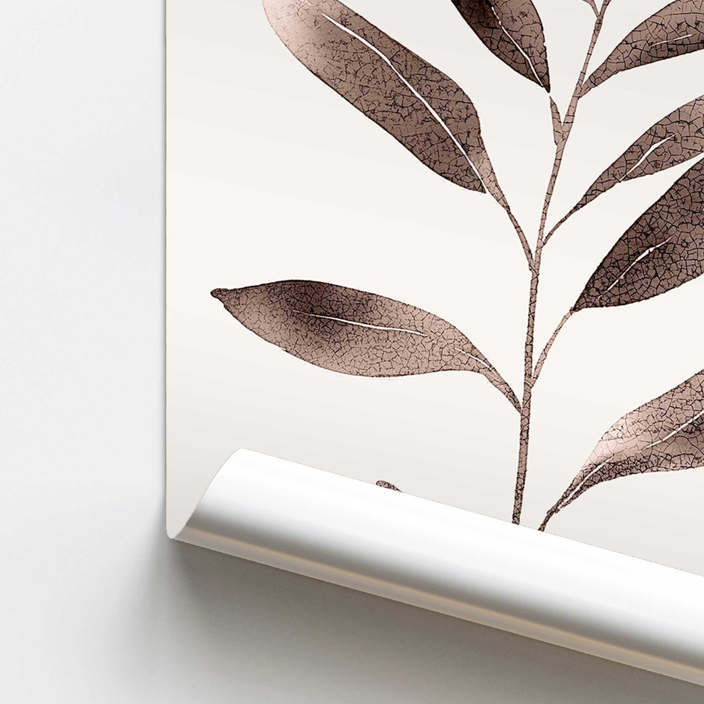 Monochrome Botanica v6 Promotional Rolled Print