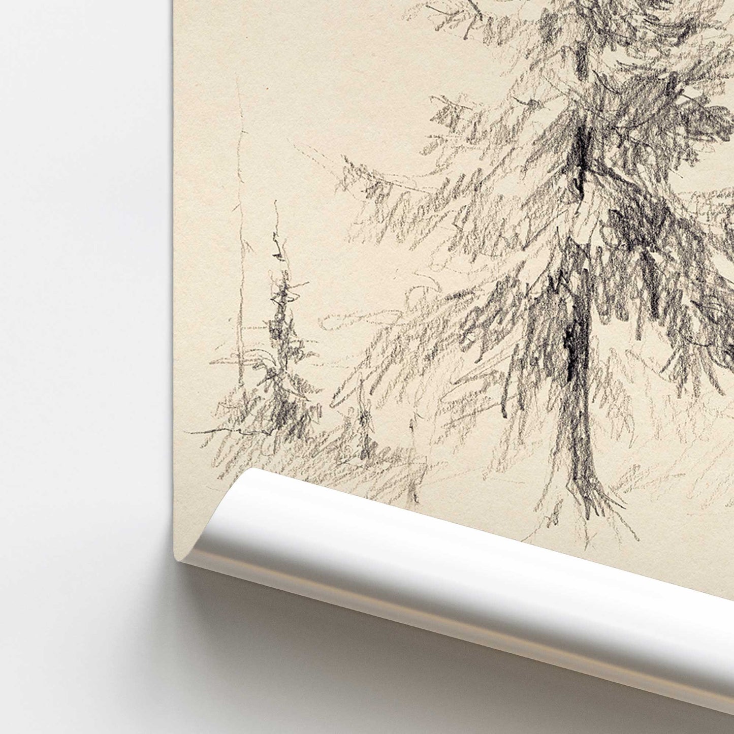 Silent Pines Print