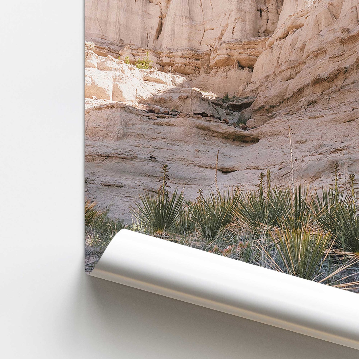 Arid Peaks Promotional Rolled Print