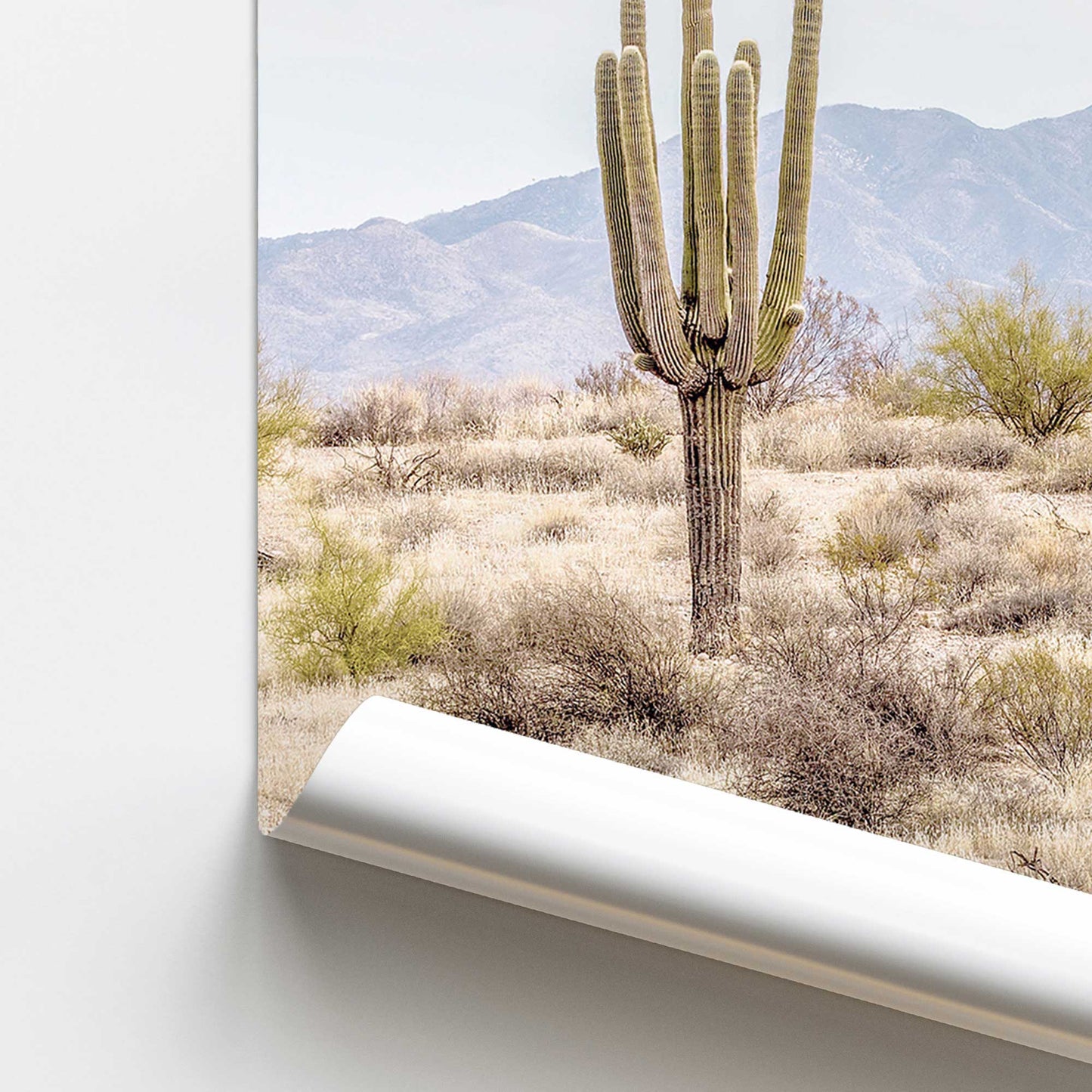 Barren Beauty Promotional Rolled Print