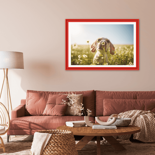 Transform Your Space with Bright Colored Picture Frames