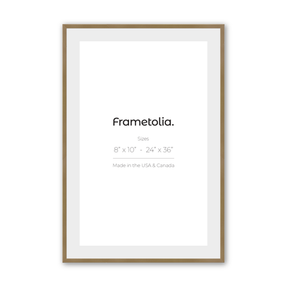 Brushed Gold Narrow Width Wall Frame