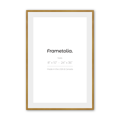 Polished Gold Narrow Width Wall Frame