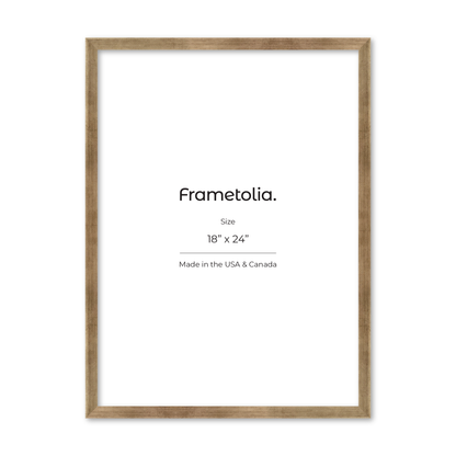 18" x 24" Pale Silver Monaco Wall Frame