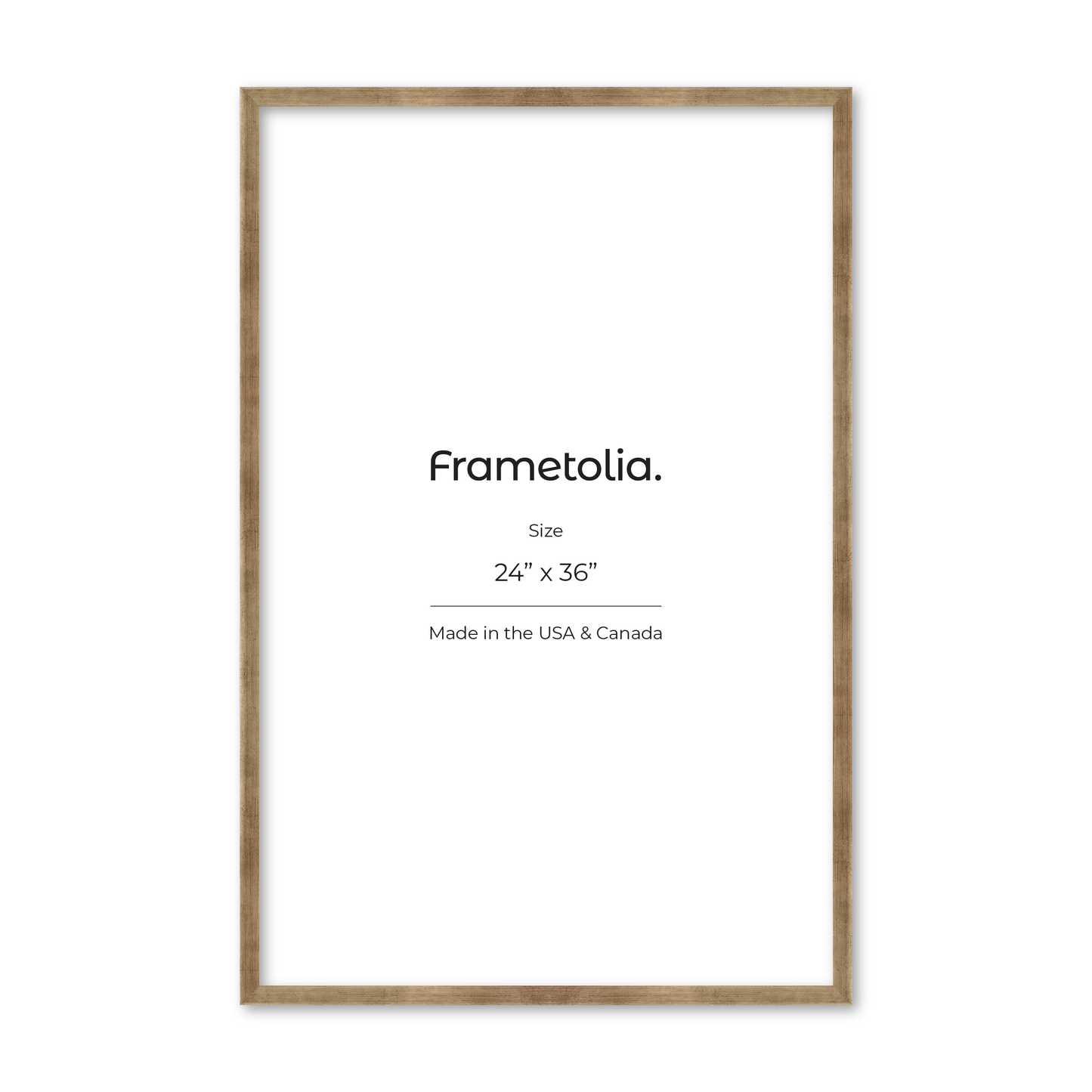 24" x 36" Pale Silver Monaco Wall Frame