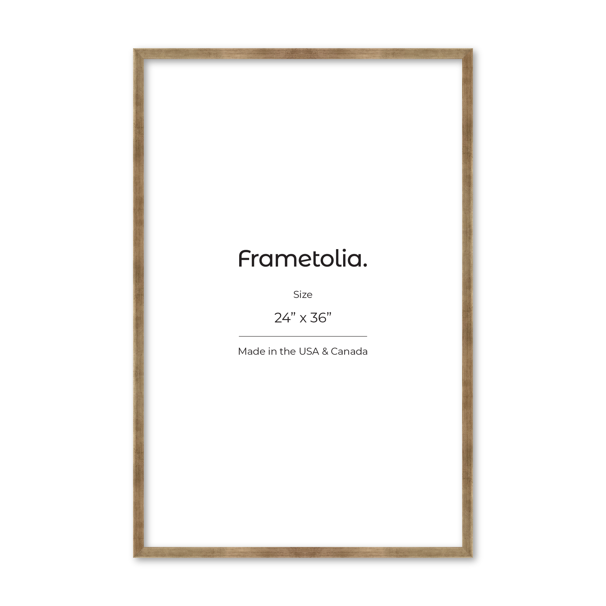 24" x 36" Pale Silver Monaco Wall Frame