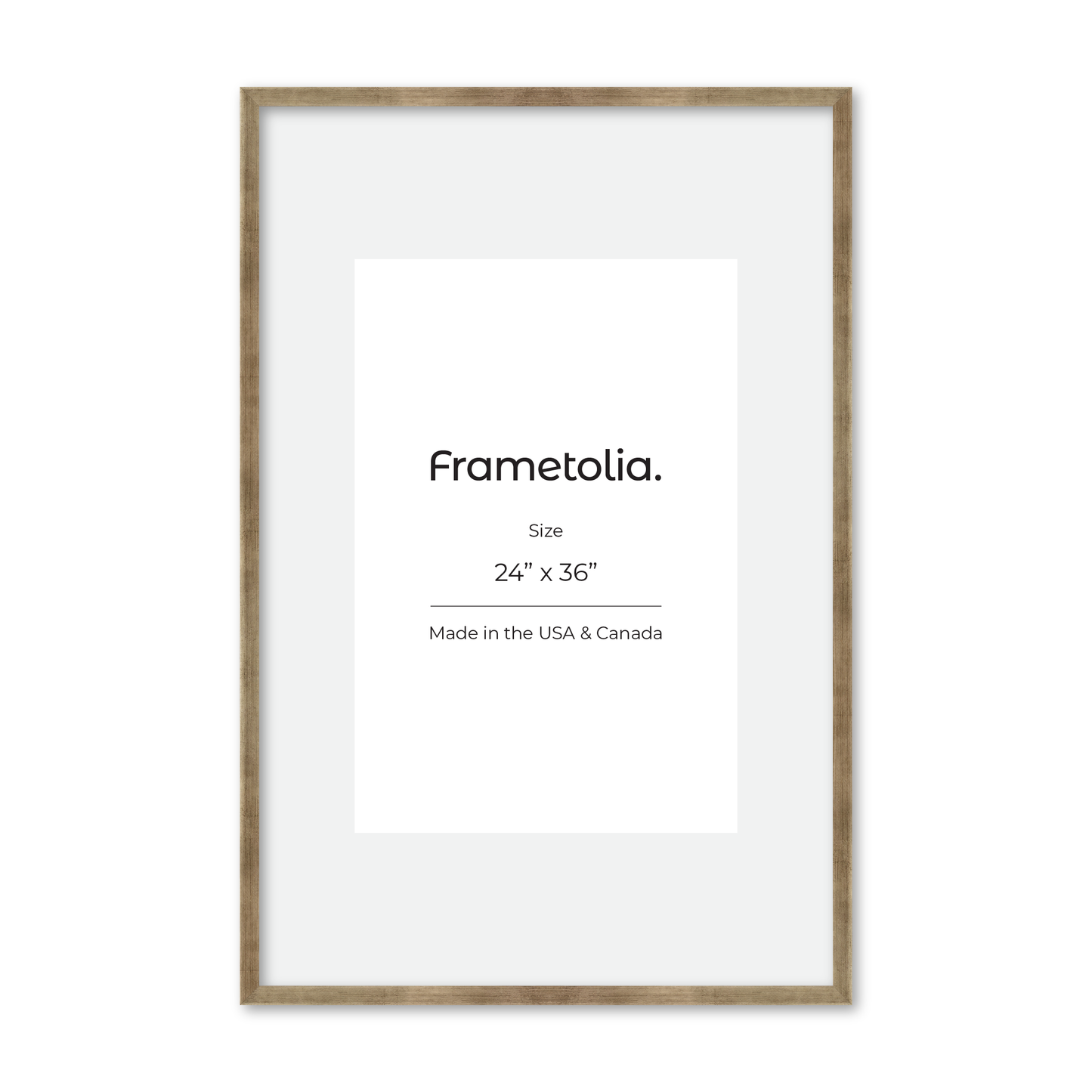 24" x 36" Pale Silver Monaco Wall Frame