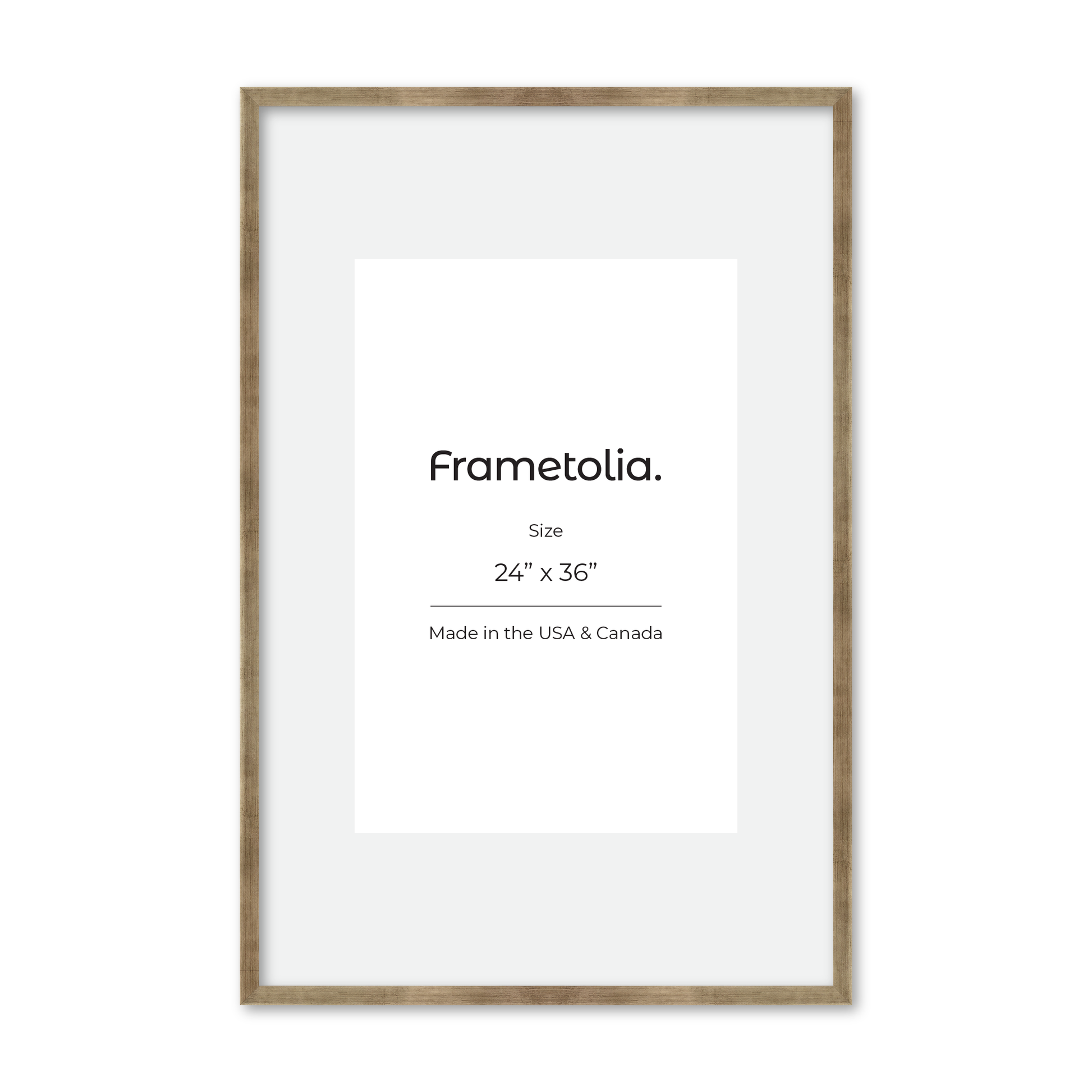 24" x 36" Pale Silver Monaco Wall Frame