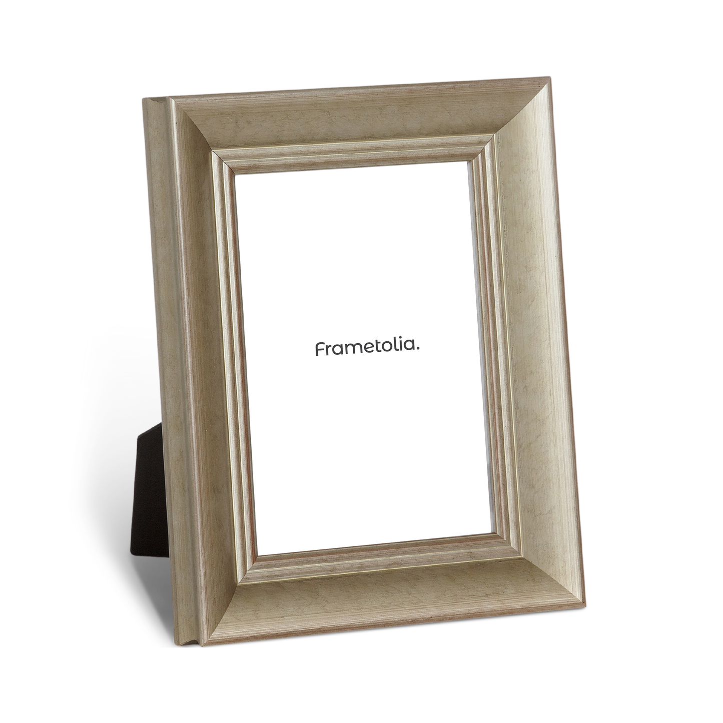 Gilded Silver Eleganza Medium Width Table Top Frame