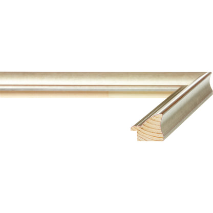 Gilded Silver Eleganza Medium Width Table Top Frame