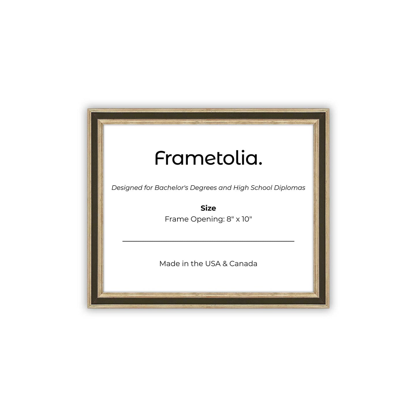 8" x 10" Gilded Silver FAMILY Diploma Frame - No Mat