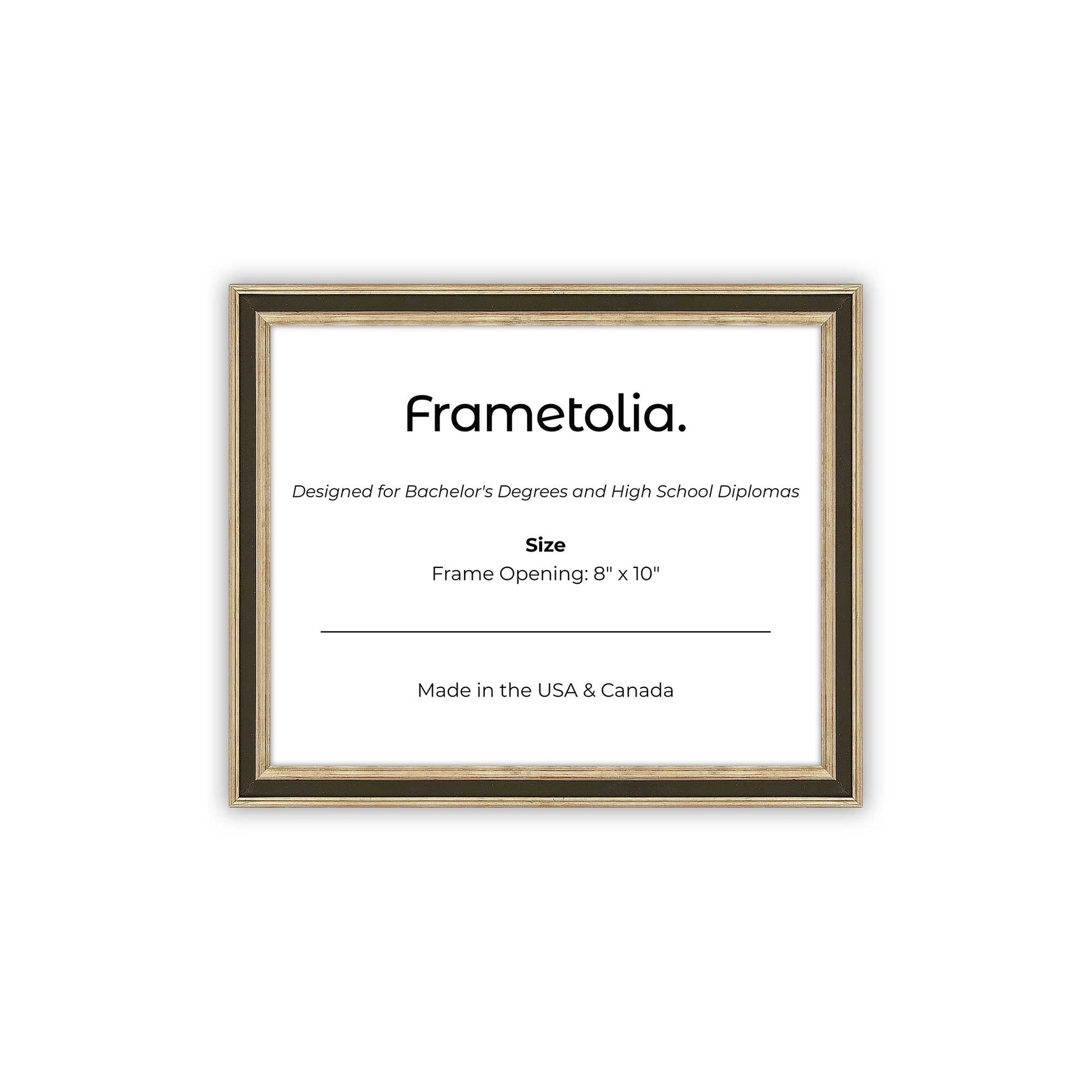 8" x 10" Gilded Silver FAMILY Diploma Frame - No Mat