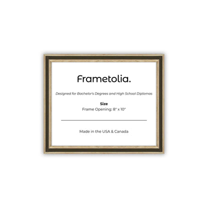 8" x 10" Gilded Silver FAMILY Diploma Frame - No Mat