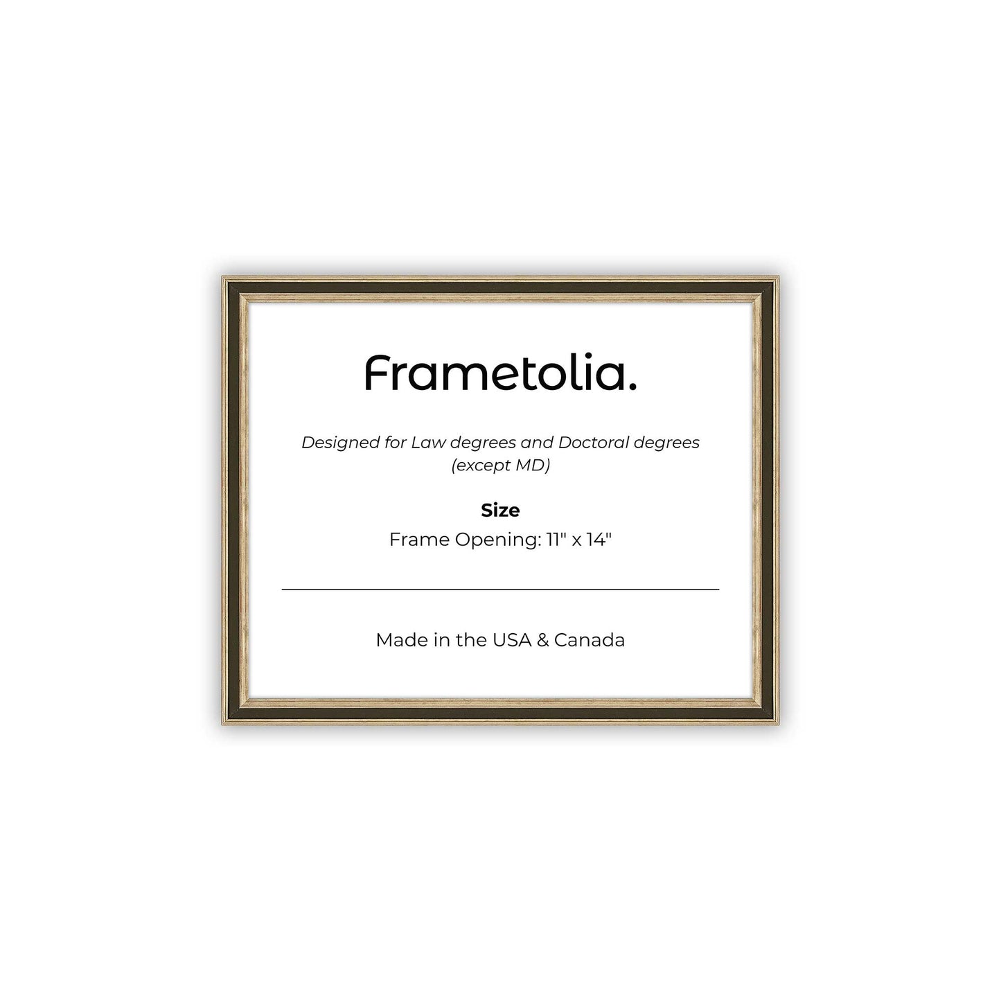 11" x 14" Gilded Silver FAMILY  Diploma Frame - No Mat