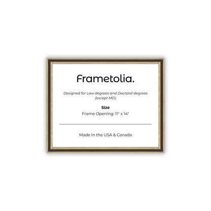 11" x 14" Gilded Silver FAMILY  Diploma Frame - No Mat