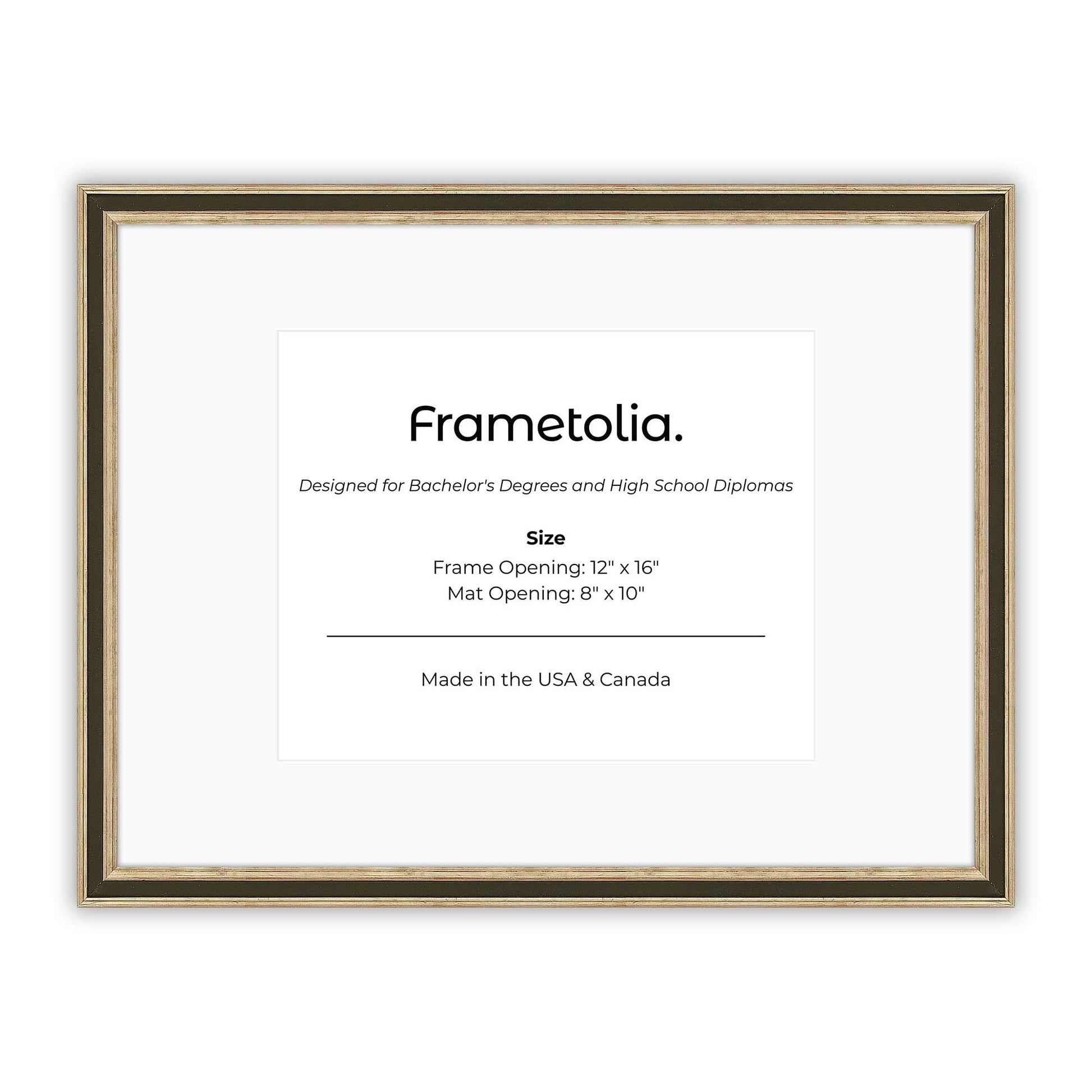 12" x 16" Gilded Silver FAMILY  Diploma Frame with Mat - 8 x 10 opening