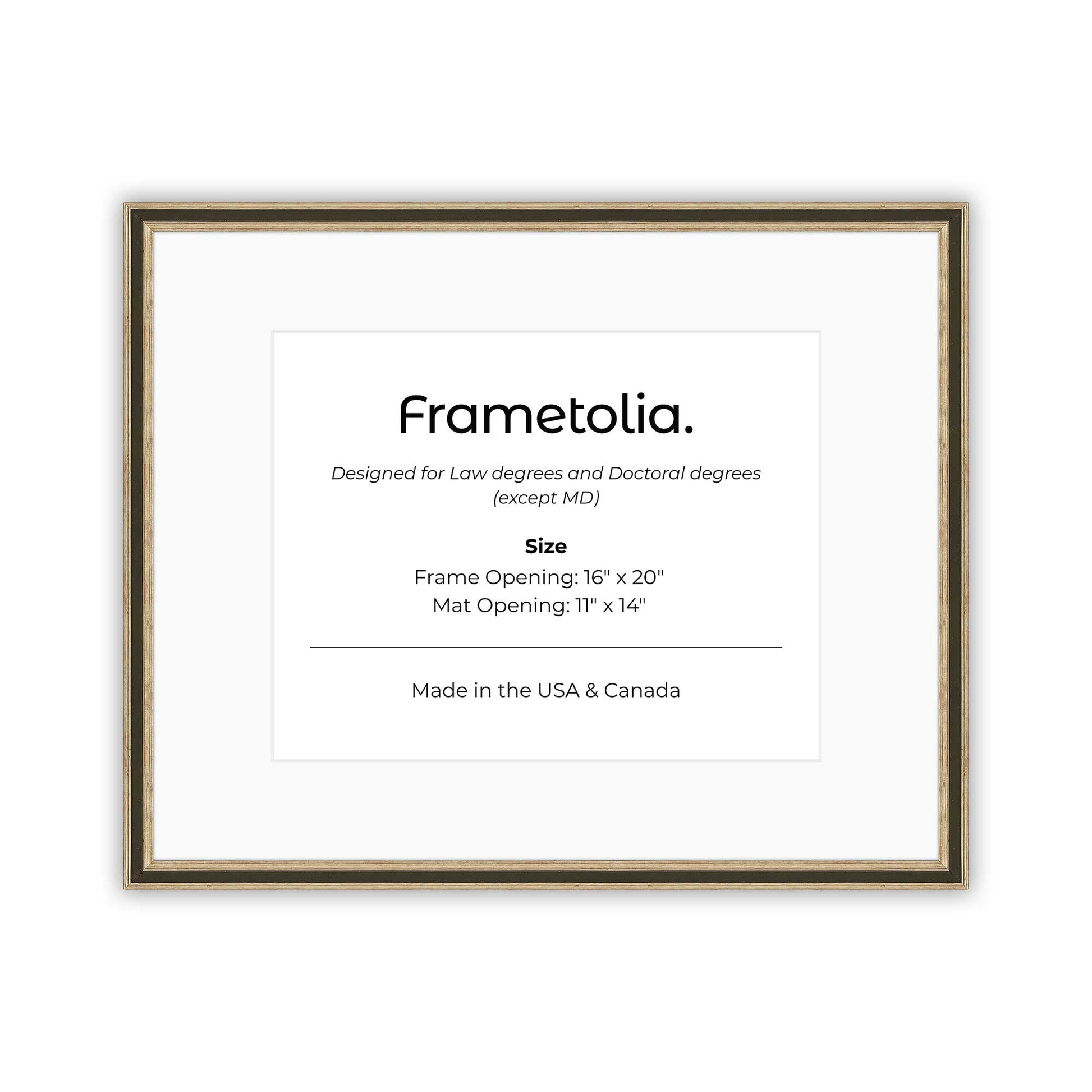 16" x 20" Gilded Silver FAMILY  Diploma Frame with Mat - 11 x 14 opening