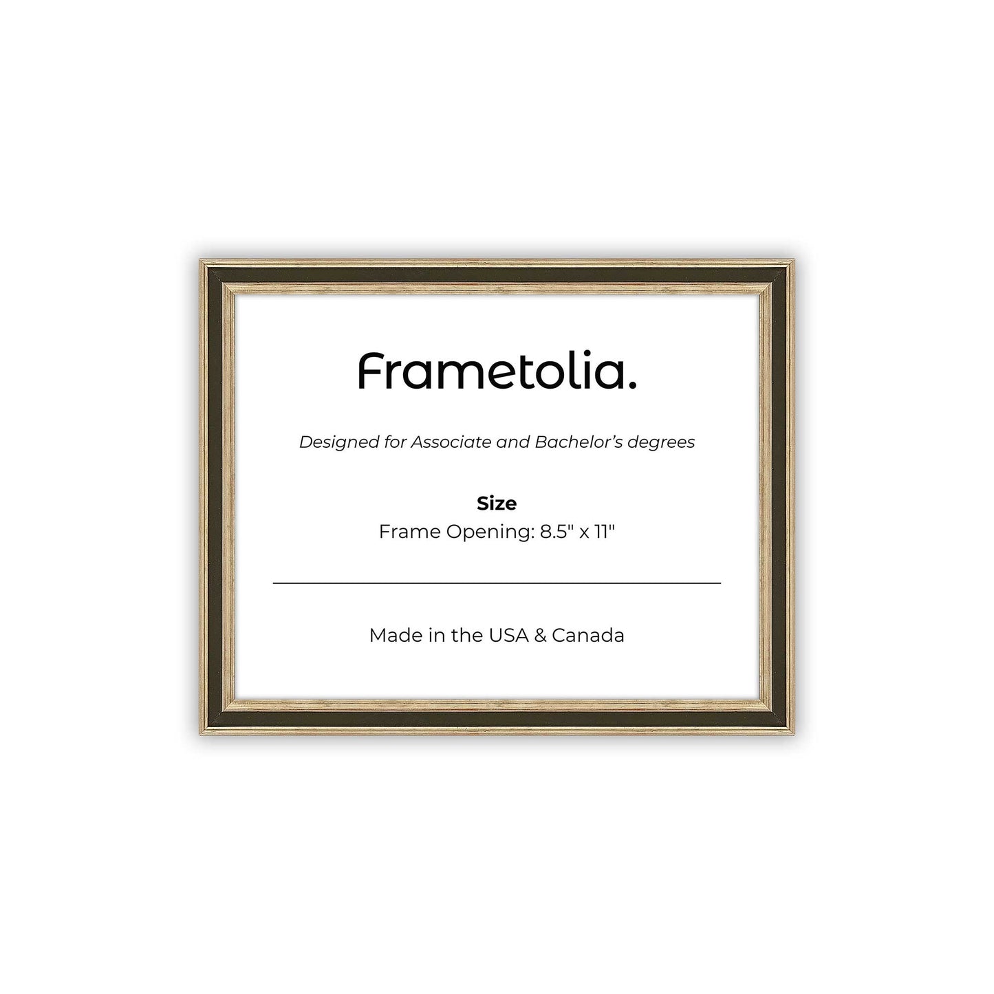 8.5" x 11" Gilded Silver FAMILY  Diploma Frame - No Mat