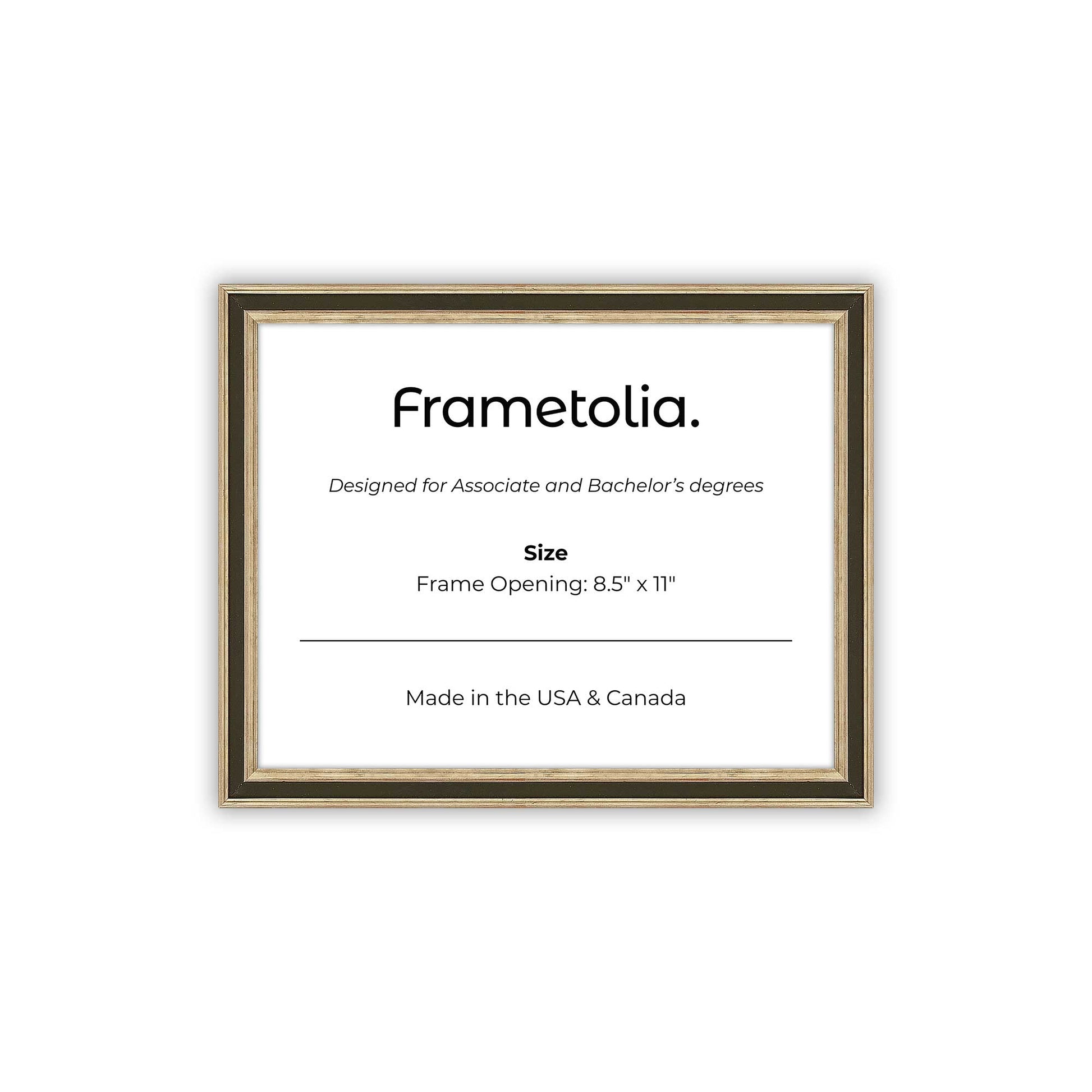 8.5" x 11" Gilded Silver FAMILY  Diploma Frame - No Mat