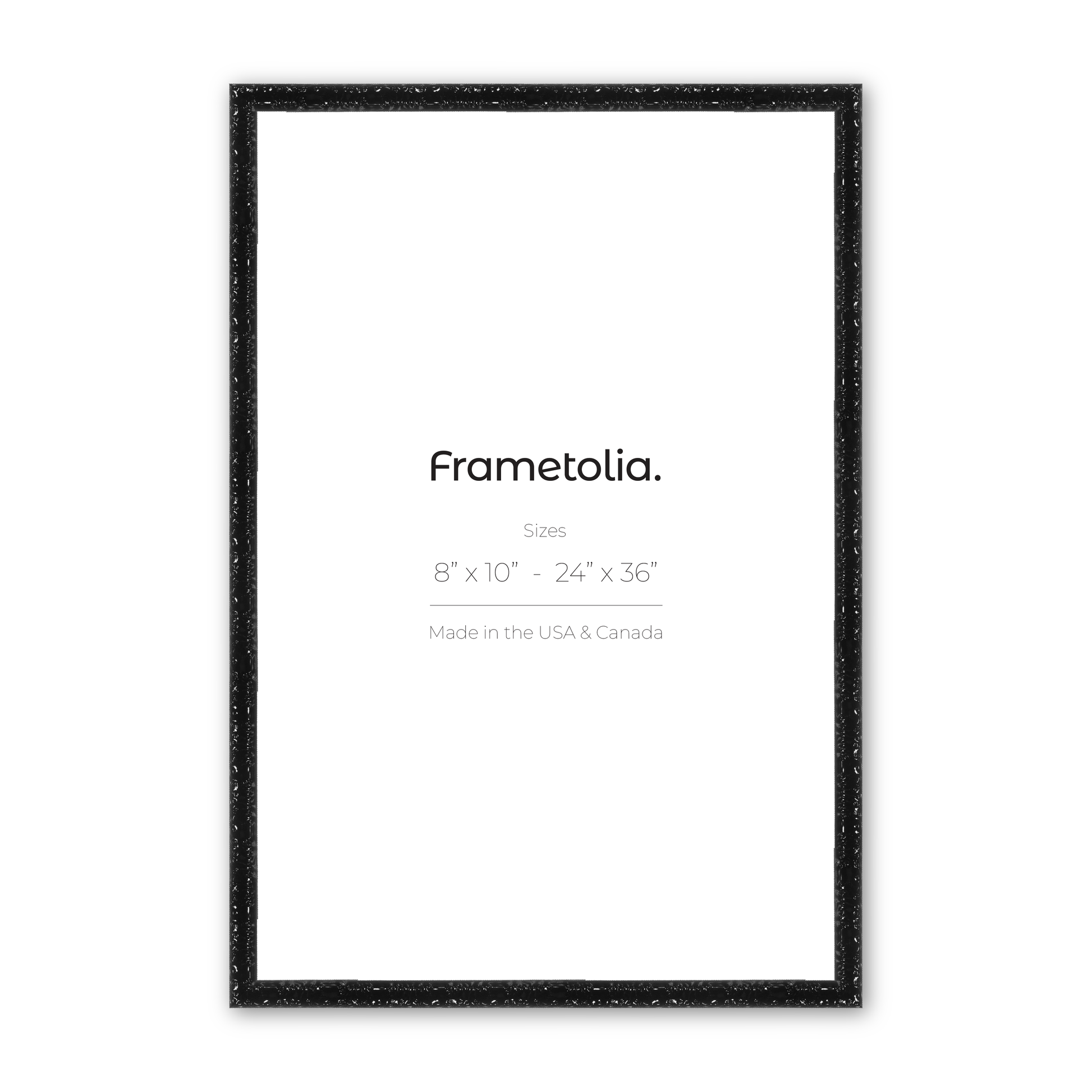 18" x 24" Shimmering Black Renaissance Charm Medium Width Wall Frame