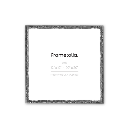 12" x 12" Shimmering Silver Renaissance Charm Medium Width Wall Frame