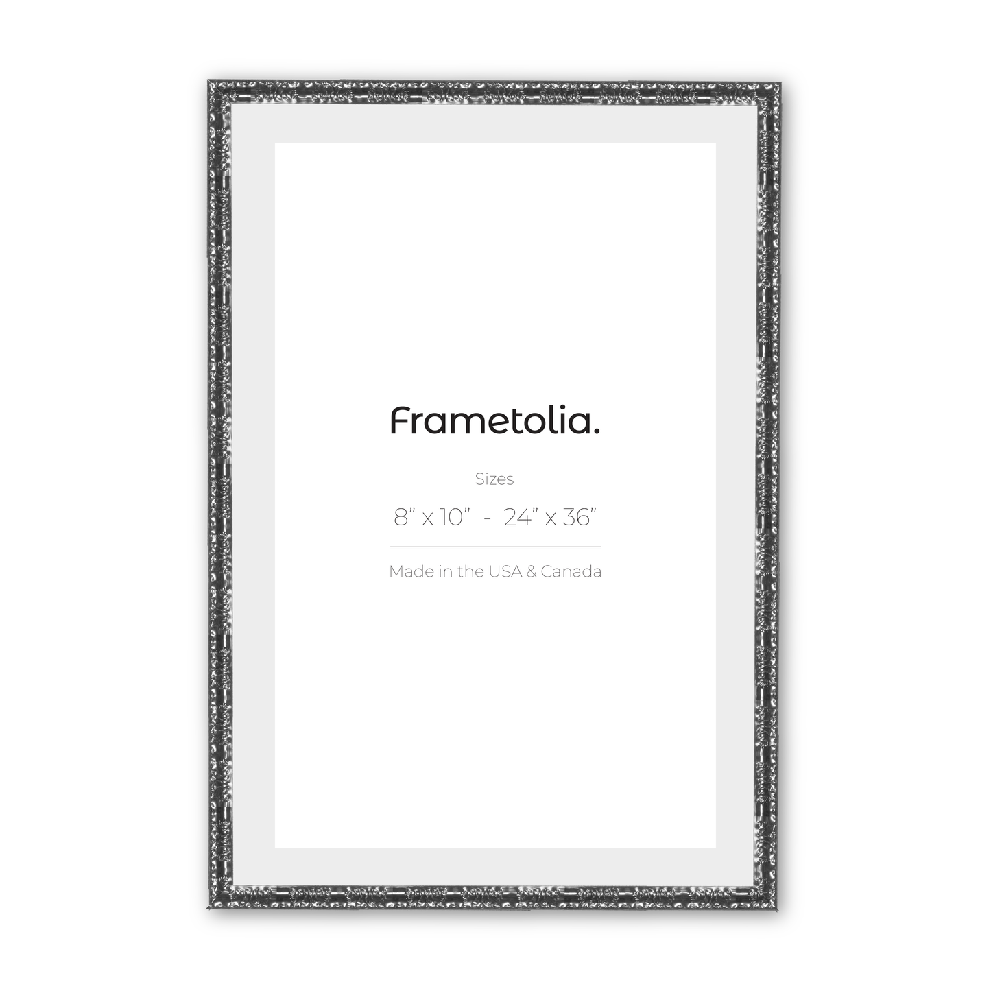 8" x 10" Shimmering Silver Renaissance Charm Medium Width Wall Frame
