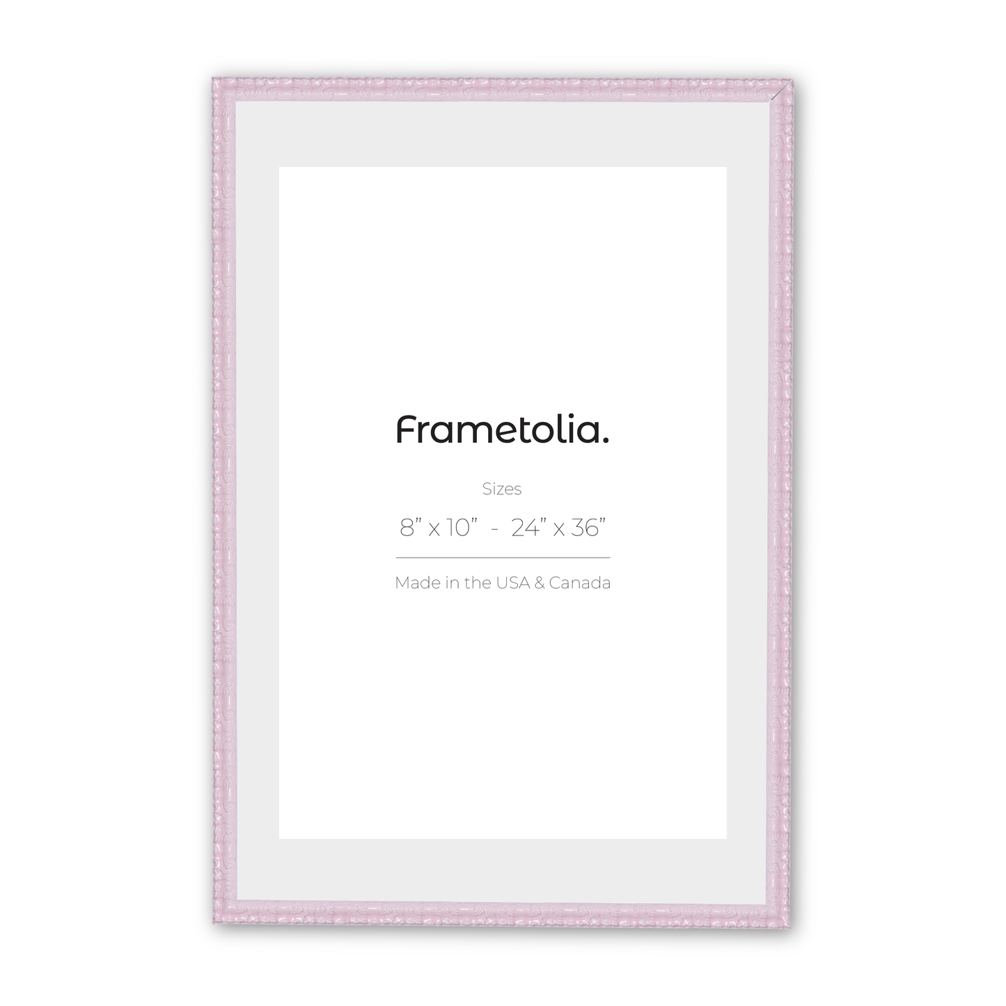 18" x 24" Shimmering Rose Petal Renaissance Charm Medium Width Wall Frame