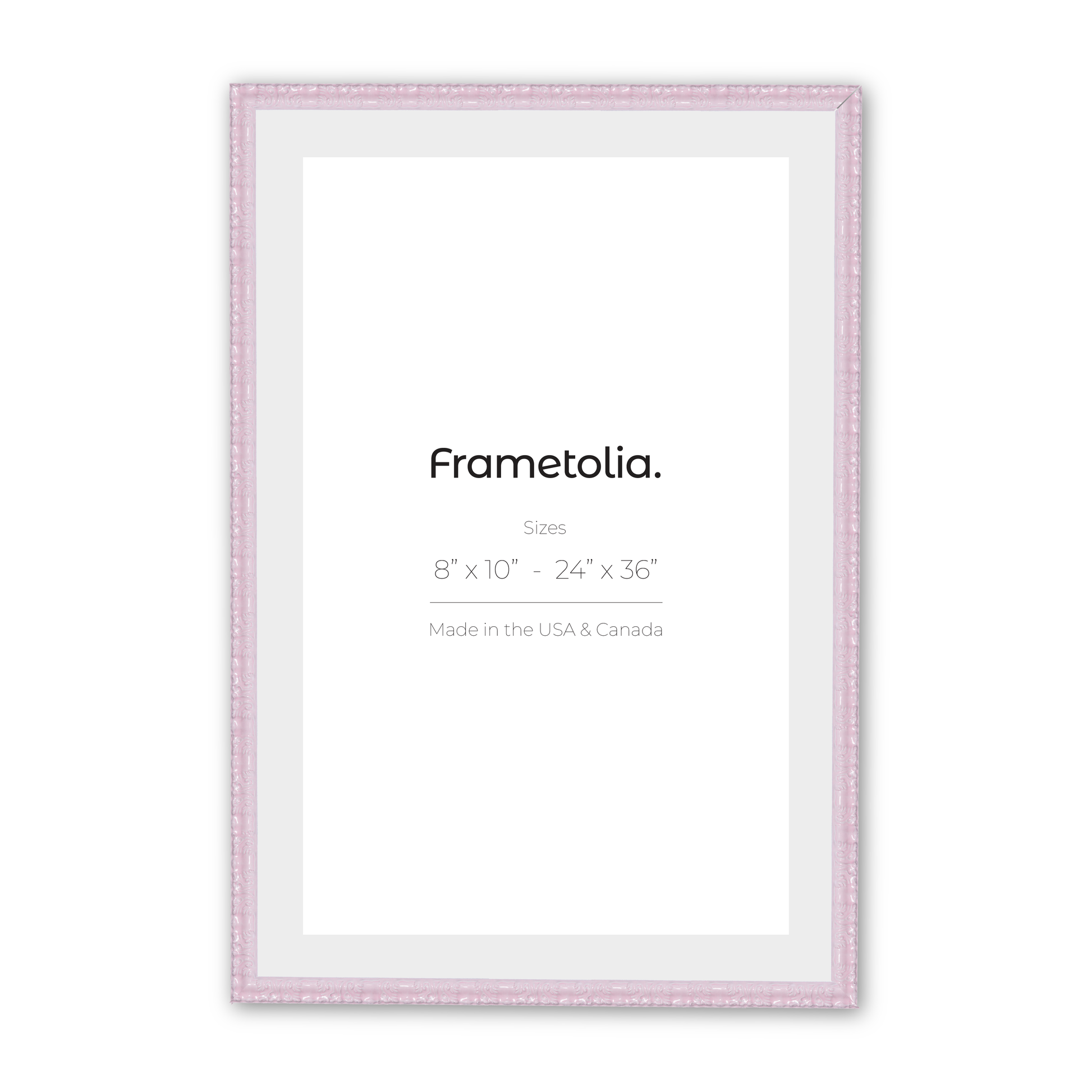 18" x 24" Shimmering Rose Petal Renaissance Charm Medium Width Wall Frame