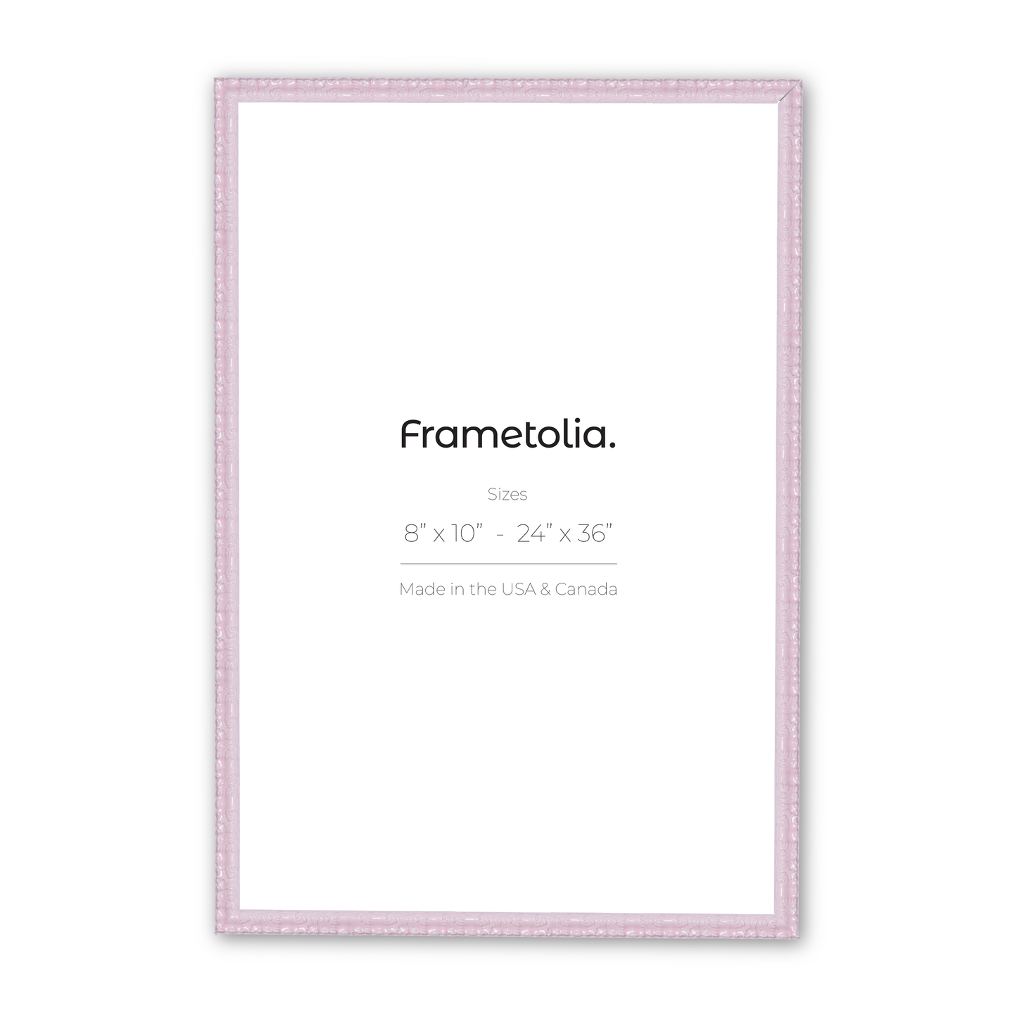 24" x 36" Shimmering Rose Petal Renaissance Charm Medium Width Wall Frame