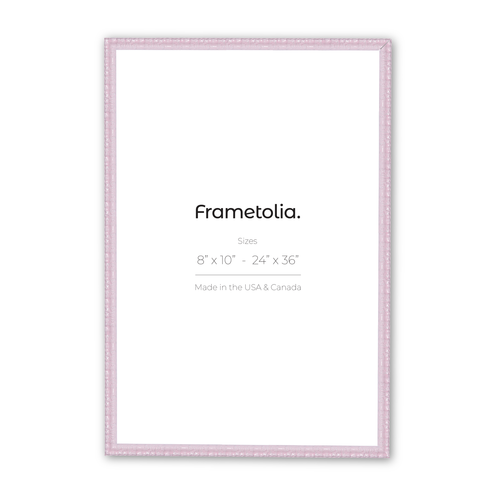 24" x 36" Shimmering Rose Petal Renaissance Charm Medium Width Wall Frame