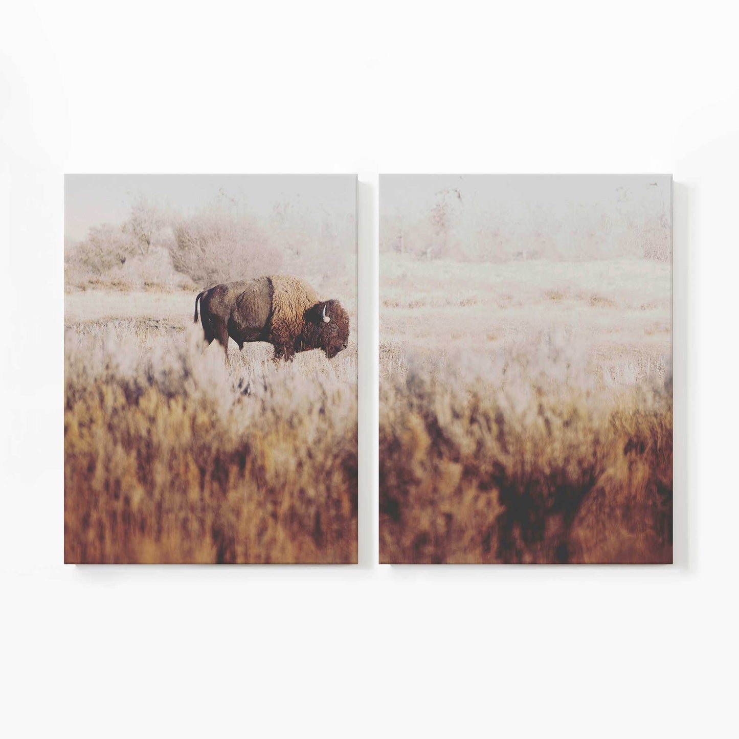 [Color:Stretched Canvas], Picture of art