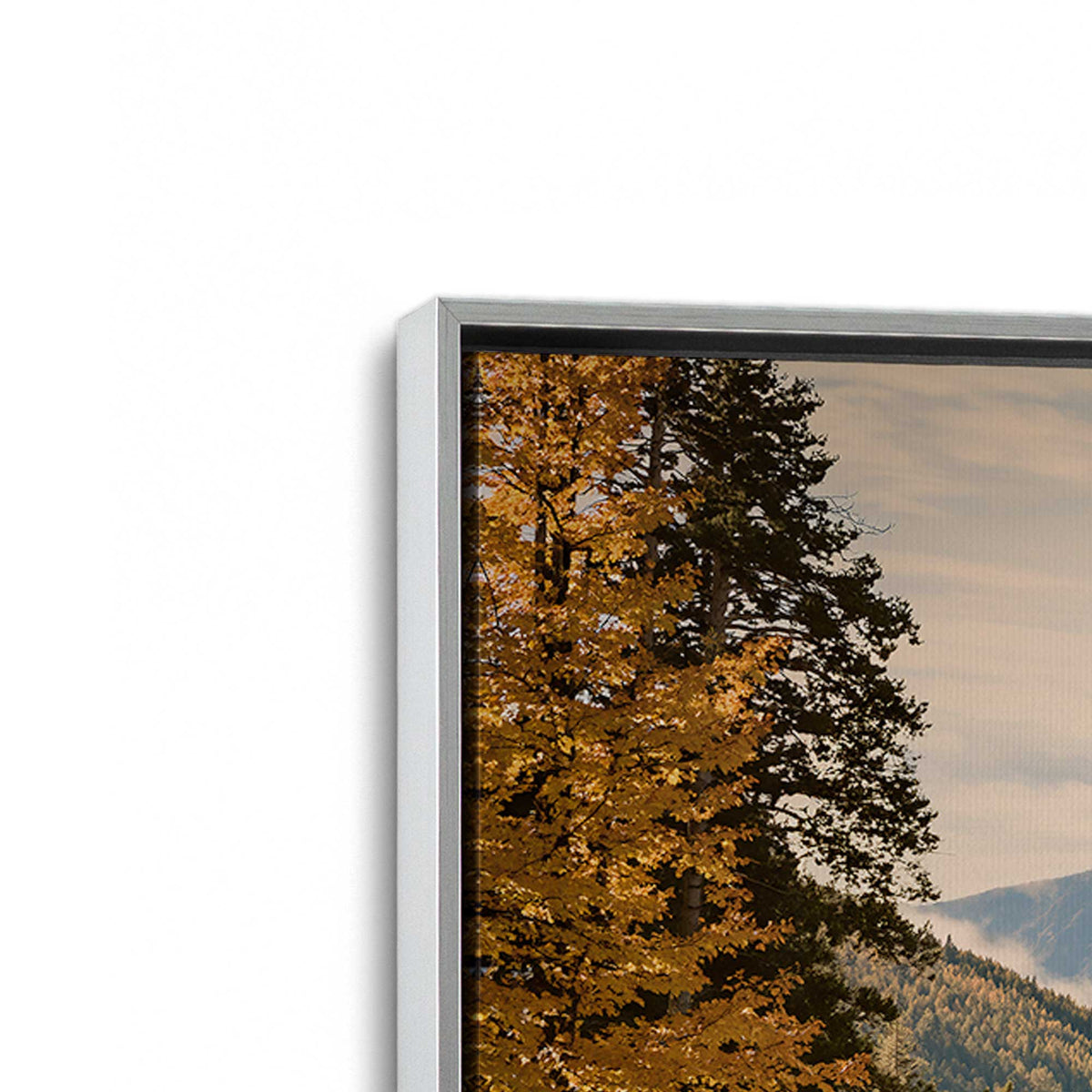 [Color:Polished Chrome], Picture of art in a Polished Chrome frame at an angle