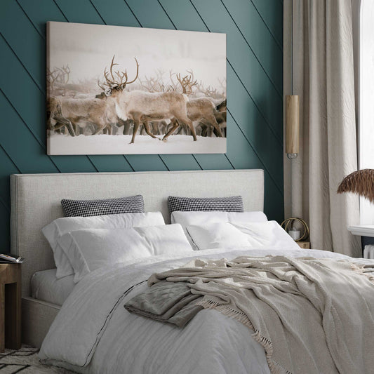 [LIFESTYLE], Picture of art in a room