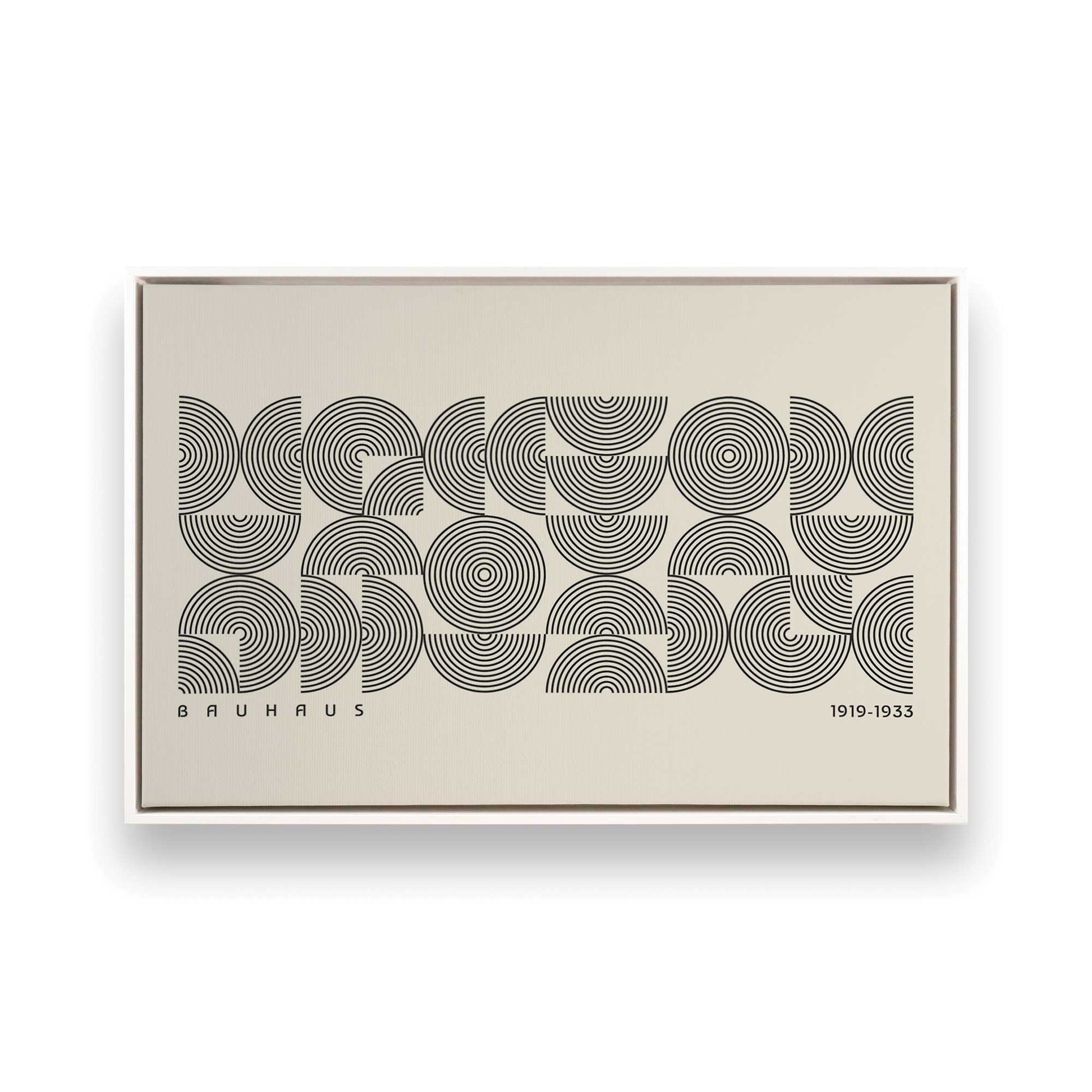 [Color:Opaque White], Picture of art in a White frame