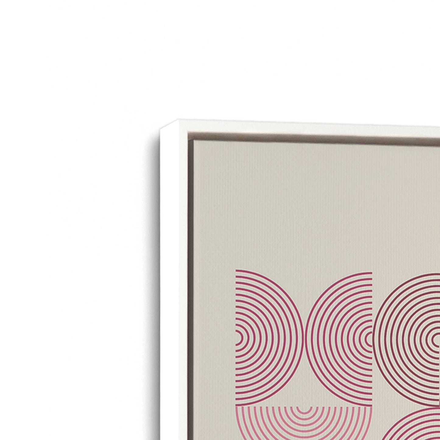 [Color:Opaque White], Picture of art in a White frame at an angle
