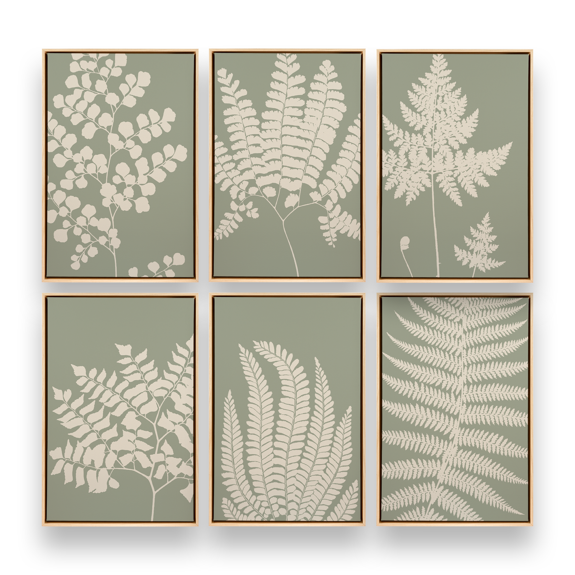 [color:American Maple], Picture of art in a black frame