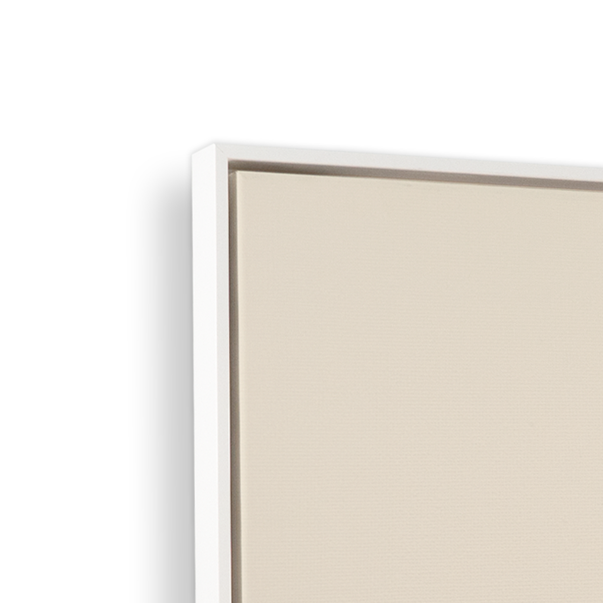 [color:Opaque White], Picture of the corner of the Opaque White frame