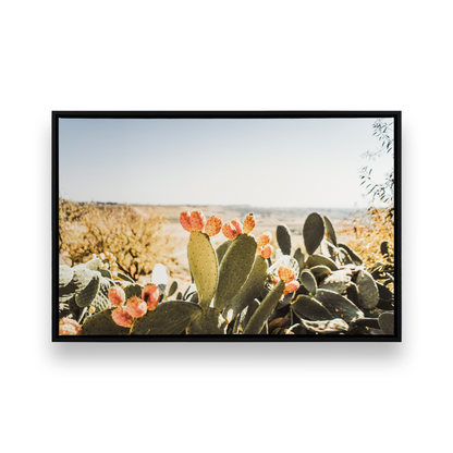 [Color:Satin Black],[SPECIAL], Front image of the art
