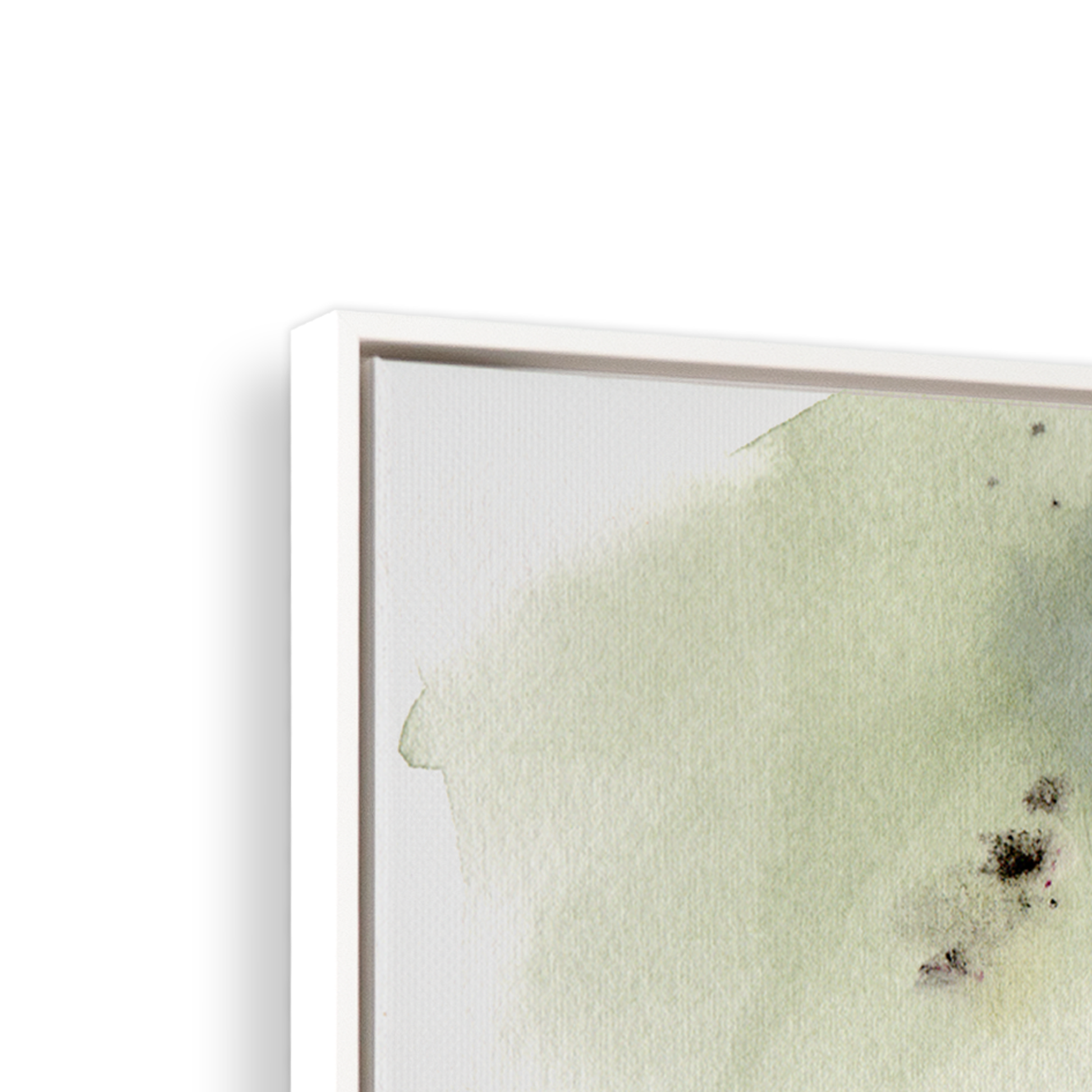 [color:Satin White], Picture of corner of frame