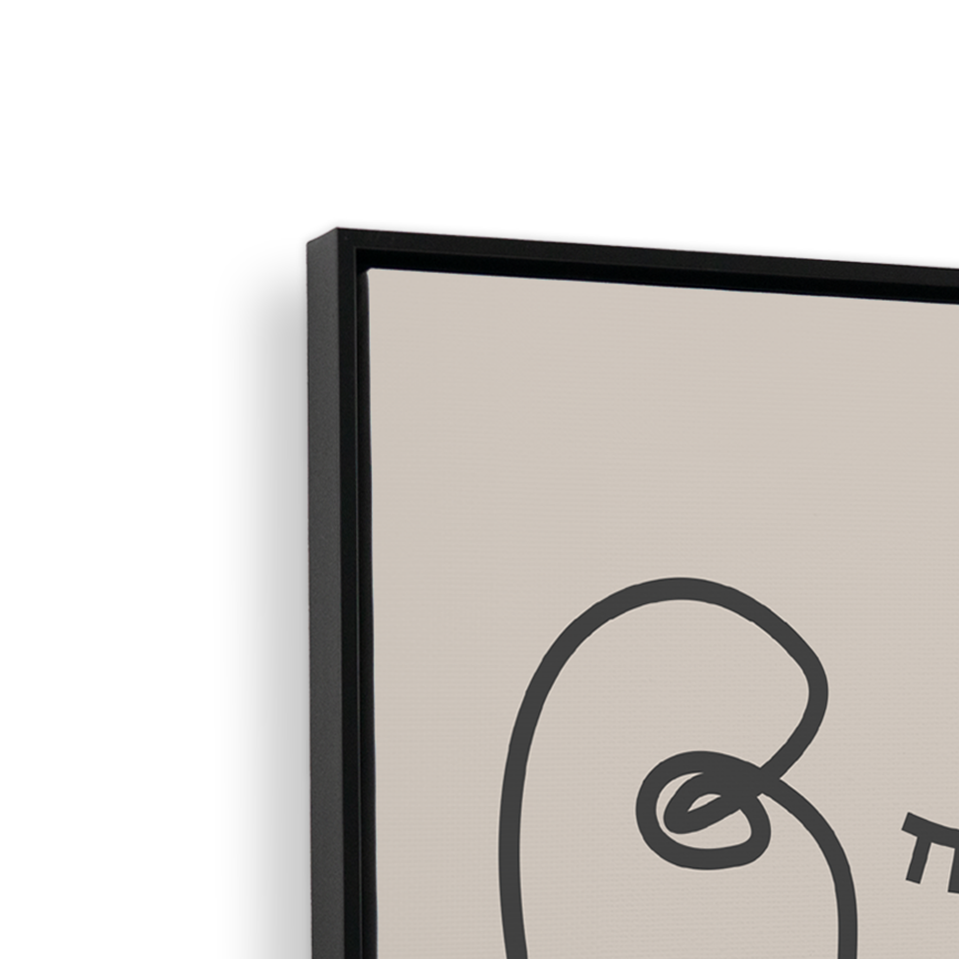 [color:Satin Black], Corner of the picture frame