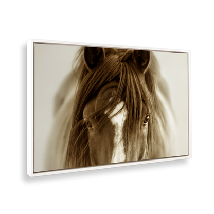 [color:Satin White], Picture of art at an angle