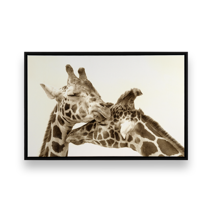 [Color:Satin Black],[SPECIAL], Front image of the art