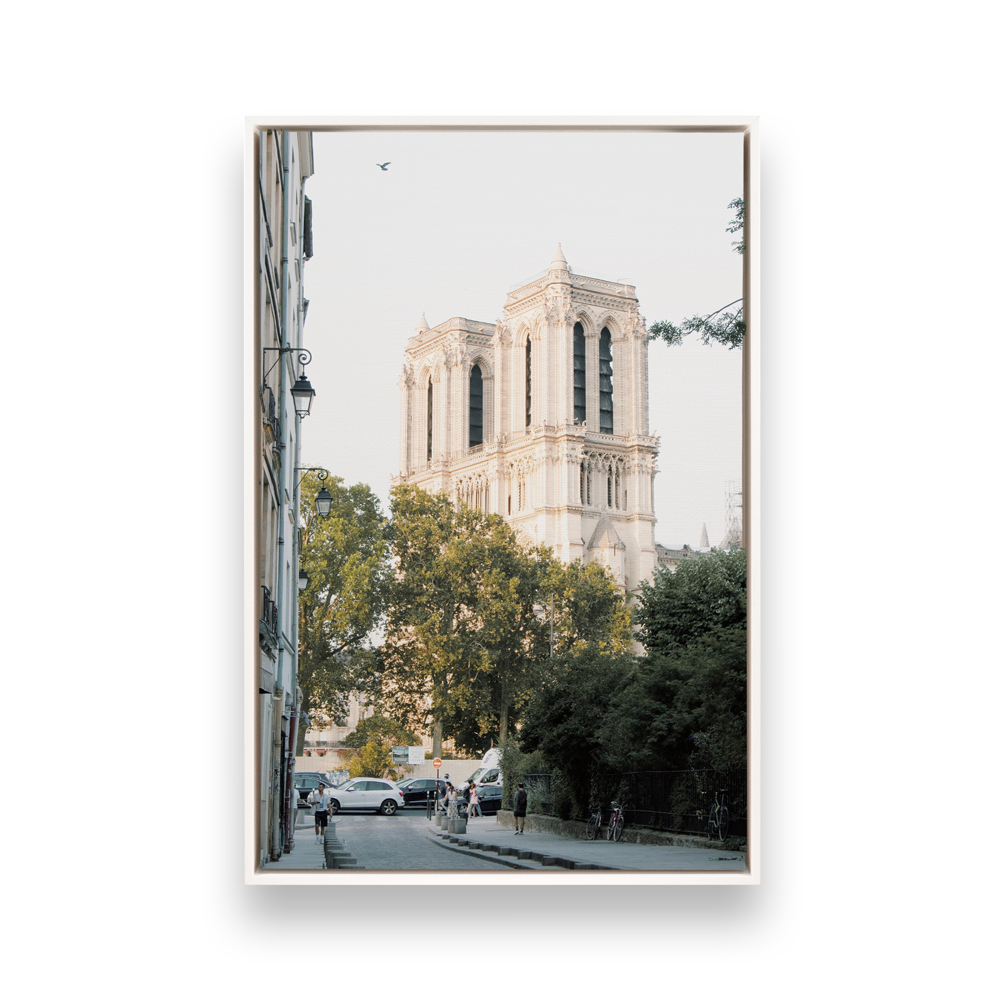 [color:Satin White], Picture of art in a black frame