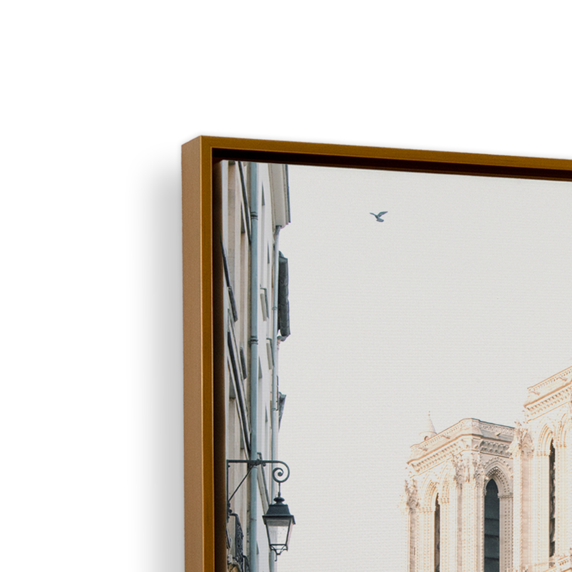 [color:Polished Gold], Picture of corner of frame