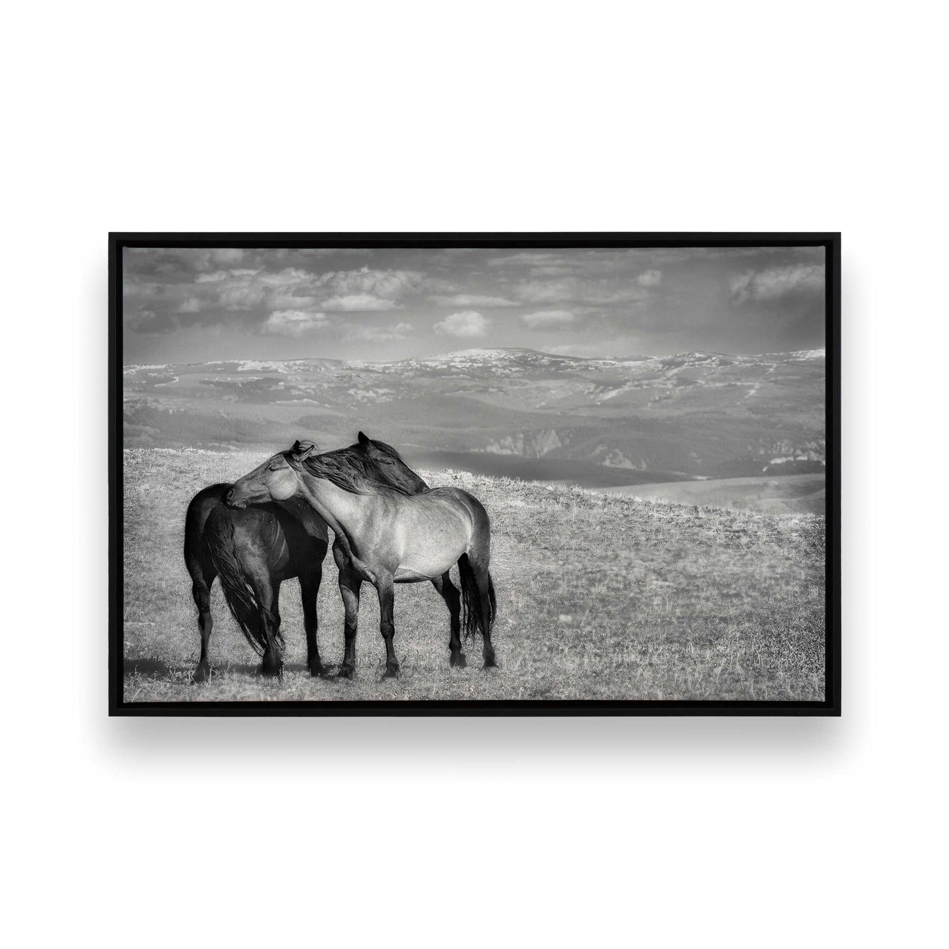 [Color:Satin Black],[SPECIAL], Front image of the art