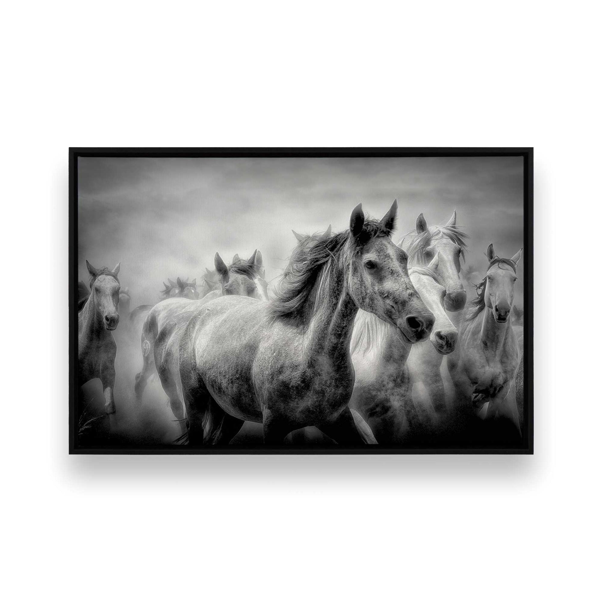 [Color:Satin Black],[SPECIAL], Front image of the art