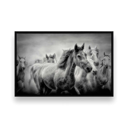 [Color:Satin Black],[SPECIAL], Front image of the art