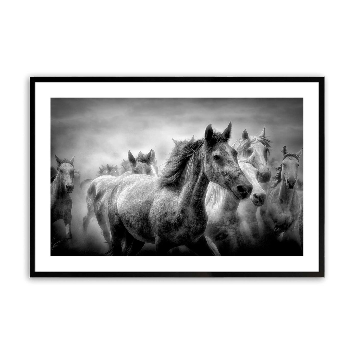 [Color:Satin Black],[SPECIAL], Front image of the art