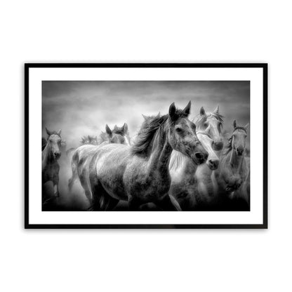 [Color:Satin Black],[SPECIAL], Front image of the art