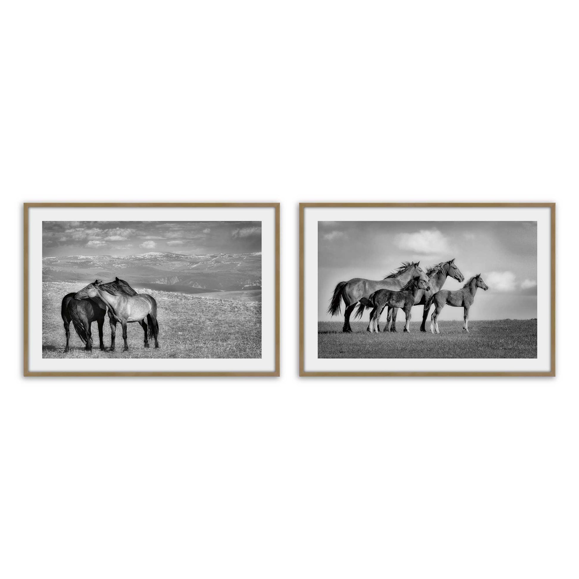 [Color:Brushed Gold], Picture of art in a Brushed Gold frame